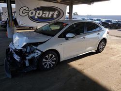 2020 Toyota Corolla LE for sale in Hayward, CA