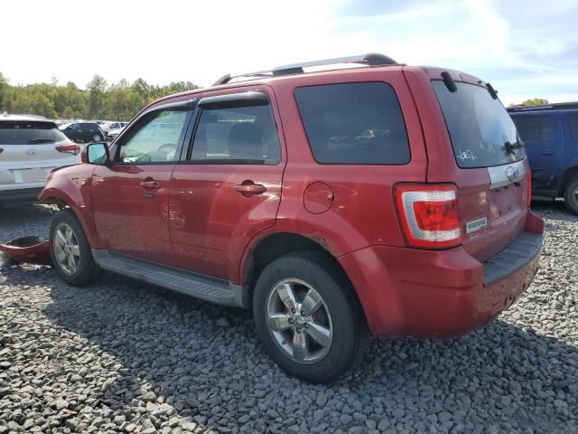 2009 Ford Escape Limited