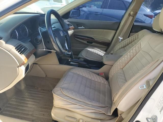 2009 Honda Accord EXL