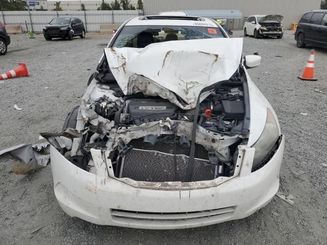 2009 Honda Accord EXL