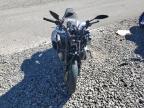 2024 Yamaha MTN1000 C