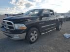 2009 Dodge RAM 1500