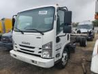 2020 Isuzu NQR Truck Cab AND Chassis