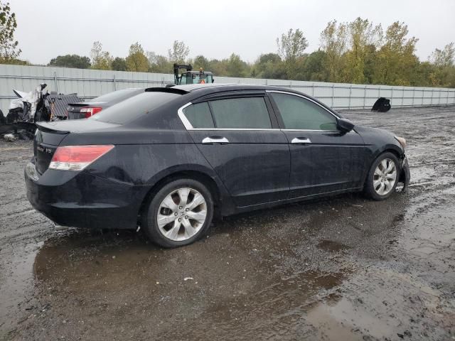 2010 Honda Accord EXL