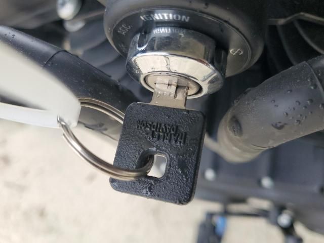 2019 Harley-Davidson Xl1200 ns