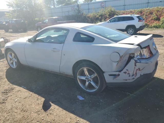 2010 Ford Mustang