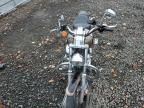 2005 Harley-Davidson XL1200 C