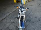 2007 Triumph America