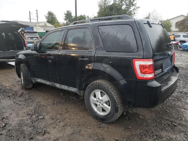 2010 Ford Escape XLT