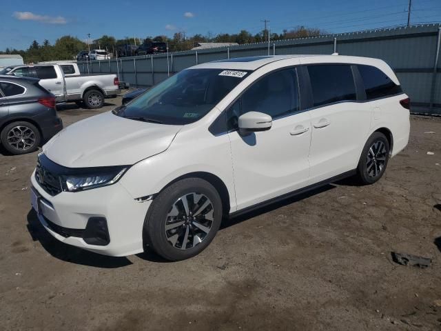 2025 Honda Odyssey EXL
