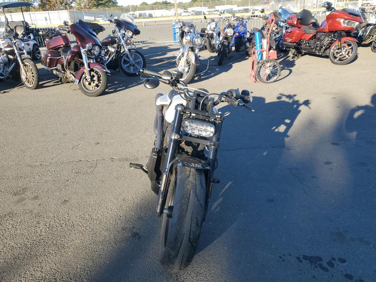2024 Harley-Davidson RH1250 S