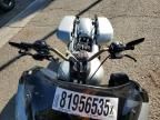 2025 Harley-Davidson Fltrxstse