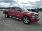 2011 Dodge Dakota SLT