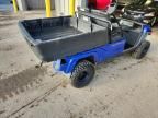 2005 Yamaha PRO HAULER1000