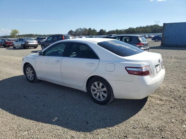 2009 Toyota Camry Hybrid