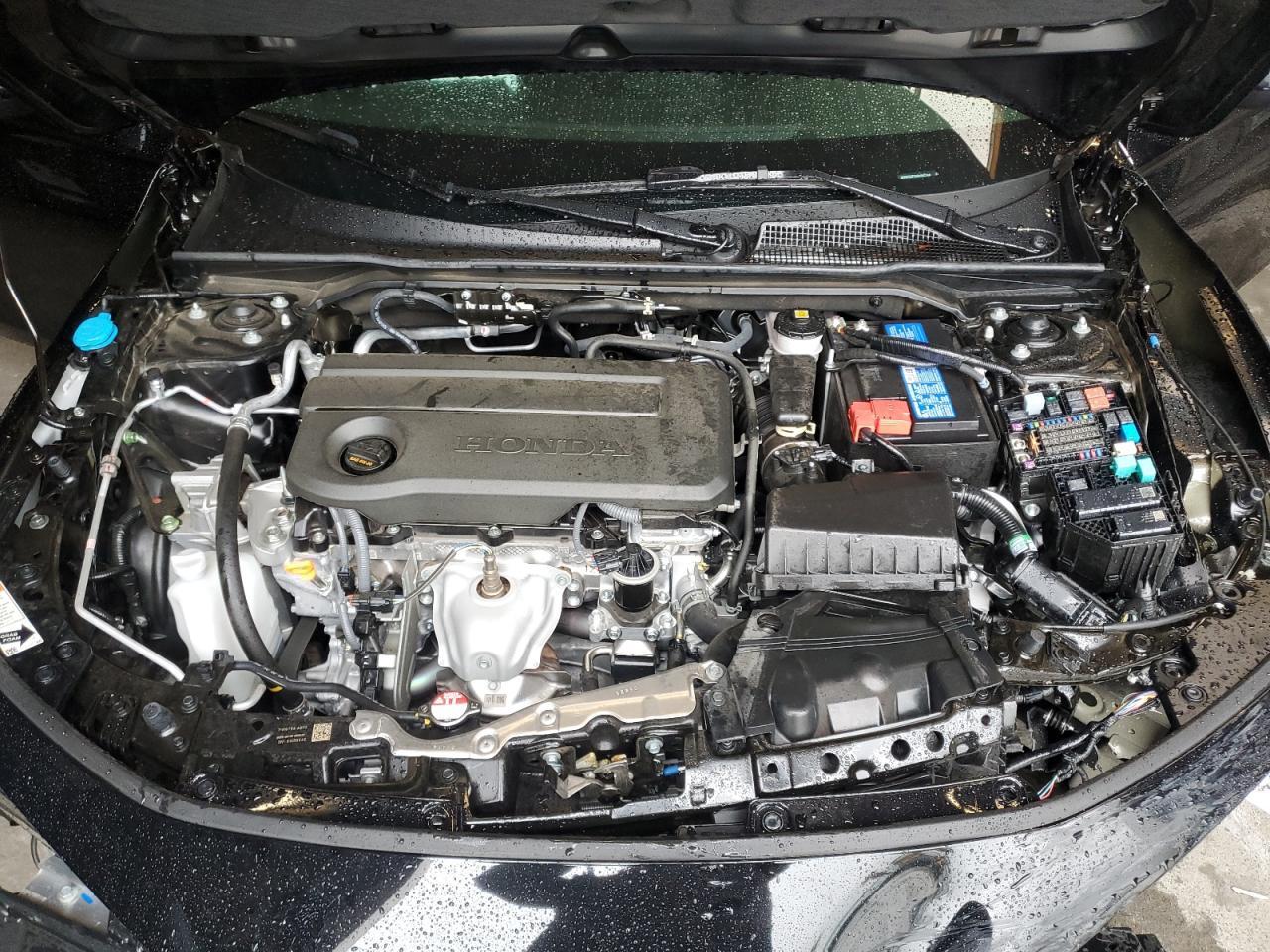 2025 Honda Civic lx