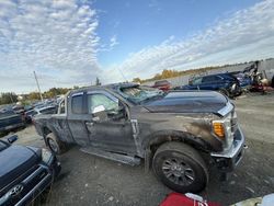 Salvage trucks for sale at Montreal Est, QC auction: 2017 Ford F250 Super Duty