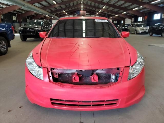 2010 Honda Accord EX