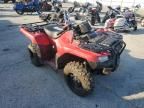 2025 Honda TRX420 FM