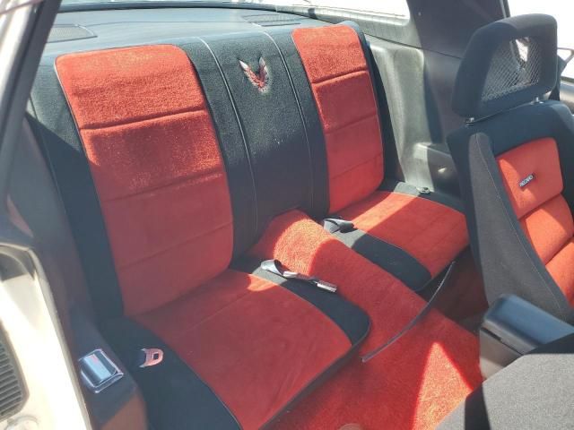 1981 Pontiac Firebird SE