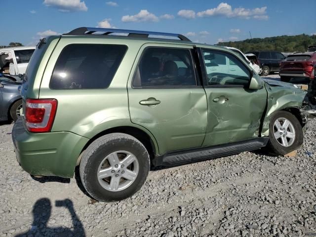 2008 Ford Escape HEV