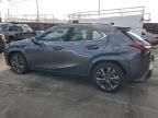 2024 Lexus UX 250H Base