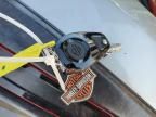 2025 Harley-Davidson Fltrxstse