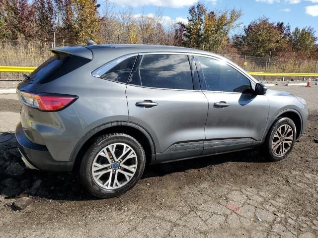 2022 Ford Escape sel