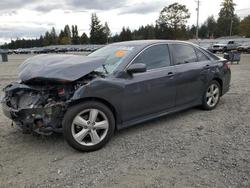 Toyota salvage cars for sale: 2011 Toyota Camry Base