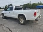 2001 Dodge Dakota