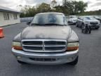 2002 Dodge Dakota Quad SLT