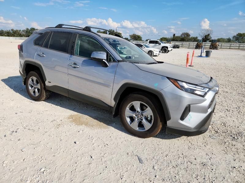 2025 Toyota Rav4 XLE