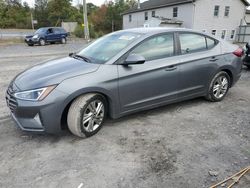 2019 Hyundai Elantra SEL for sale in York Haven, PA