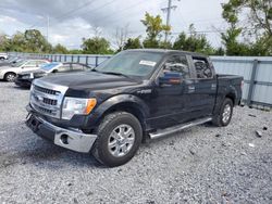 Salvage trucks for sale at Riverview, FL auction: 2013 Ford F150 Supercrew