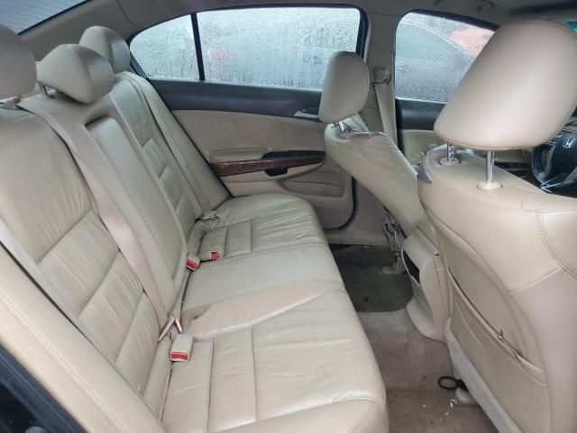 2010 Honda Accord EXL