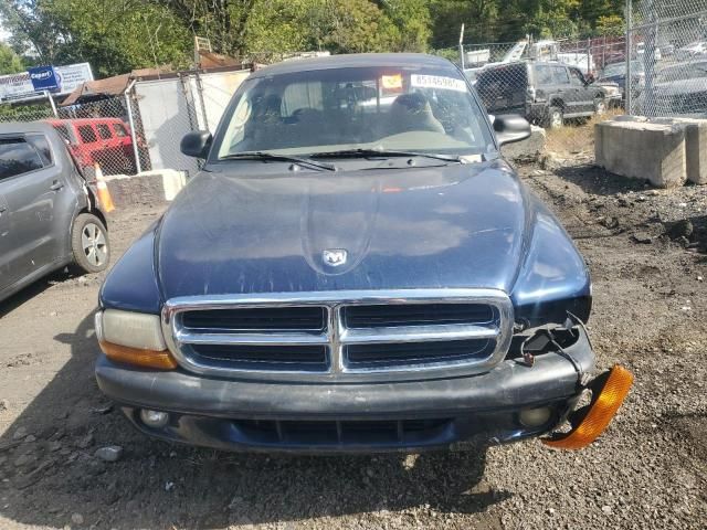 2004 Dodge Dakota Sport