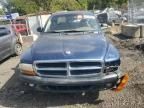 2004 Dodge Dakota Sport