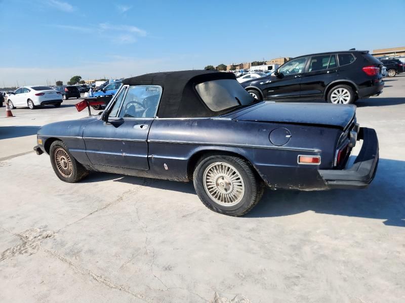 1977 Alfa Romeo Spider