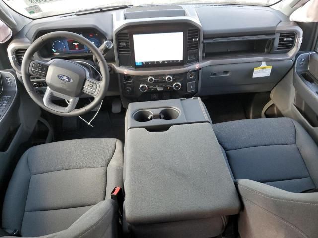 2025 Ford F150 xlt