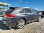 2010 Toyota Venza