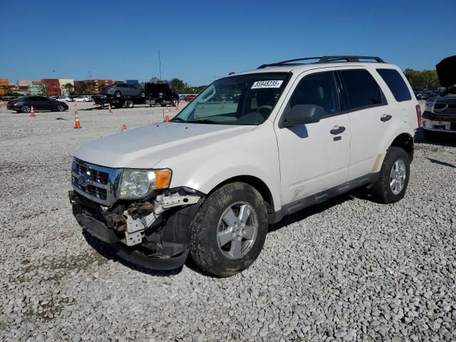 2009 Ford Escape XLT