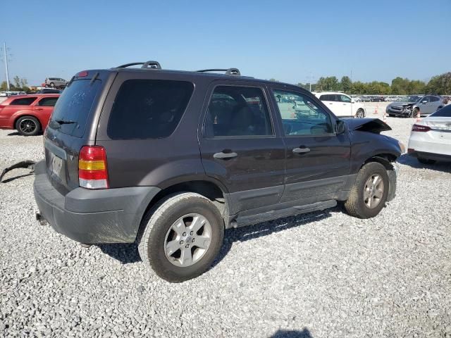 2006 Ford Escape XLT