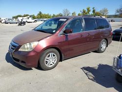 2007 Honda Odyssey EXL for sale in Bridgeton, MO