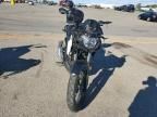 2024 Kawasaki KLE300 C