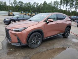 2025 Lexus NX 450H Luxury for sale in Harleyville, SC