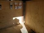 2024 Interstate VICT508SAFS Enclosed Cargo Trailer