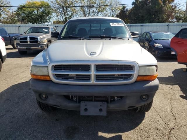 2003 Dodge Dakota SXT