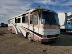 1999 Roadmaster Rail Executive Signature