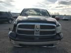 2009 Dodge RAM 1500