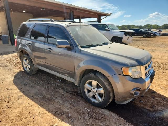 2009 Ford Escape Limited